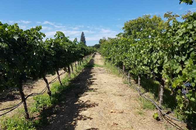 Private Full-Day Napa Wine Tour in a Luxury Vehicle - Concierge scheduling and winery appointments: why this service saves real time