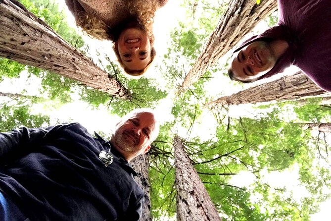 Private Full-Day San Francisco City Tour with Muir Woods (Max 6) - Key things that make this tour work