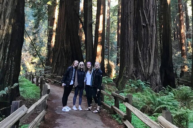 Private Full-Day San Francisco City Tour with Muir Woods (Max 6) - 8 a.m. Hyde Street pickup and the Marina/Cow Hollow warm-up