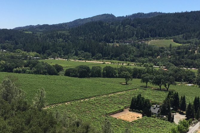 Private Group Wine Tour of Napa and Sonoma - Private Group Napa and Sonoma on a Luxury SUV