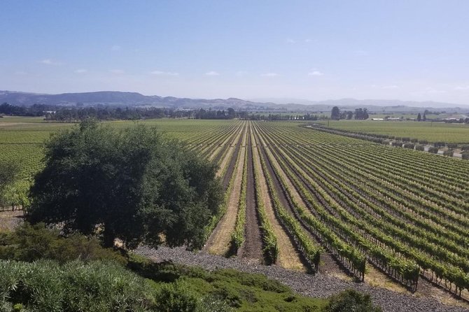 Private Group Wine Tour of Napa and Sonoma - Sonoma Tastings: Viansa (or Jacuzzi) for Tuscan-Style Views