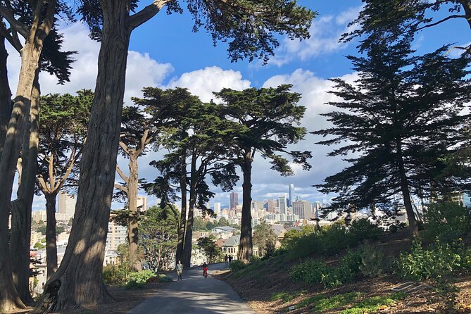 Private Guided Tour in San Francisco - Haight-Ashbury: Hippie Icons Explained on the Ground
