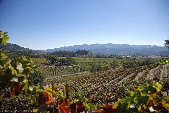 Private Limo Wine Tours in Sonoma and Napa Valley - Who this limo wine tour is best for
