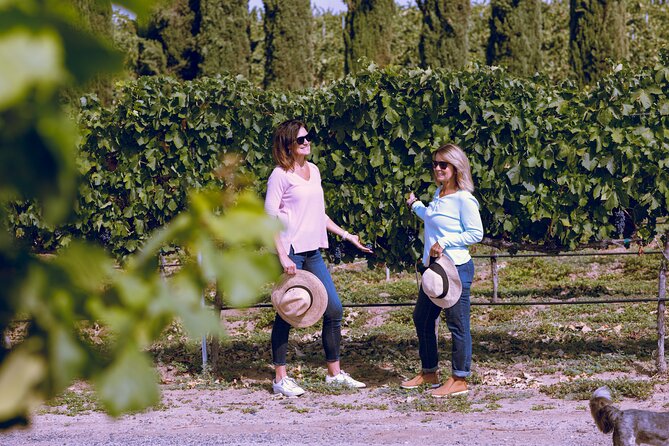 PRIVATE Luxury Transportation Experience - Napa - Key Things That Make This Private Napa Wine Transfer Work