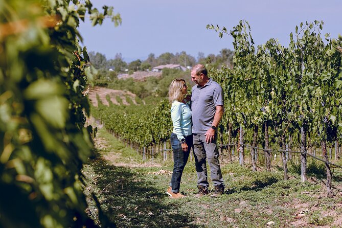 PRIVATE Luxury Transportation Experience - Sonoma - Why a private Sonoma wine ride beats the usual shuffle