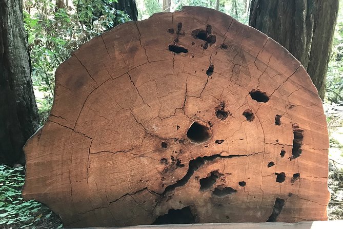 Private Muir Woods and Sausalito Half Day Tour - Price and logistics: is $699 per group worth it?