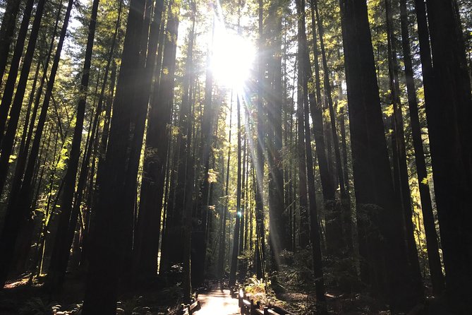 Private Muir Woods and Sausalito Half Day Tour - What Anthony’s guide style means for your day