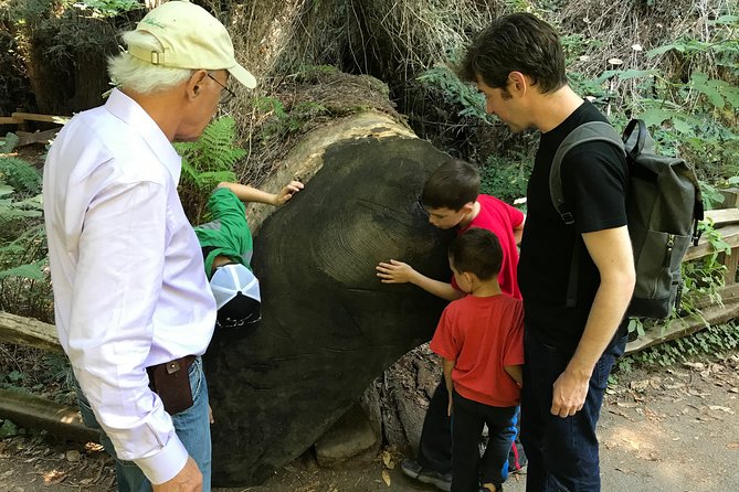 Private Muir Woods and Sausalito Half Day Tour - Muir Woods National Monument with 1.5 hours of redwood time