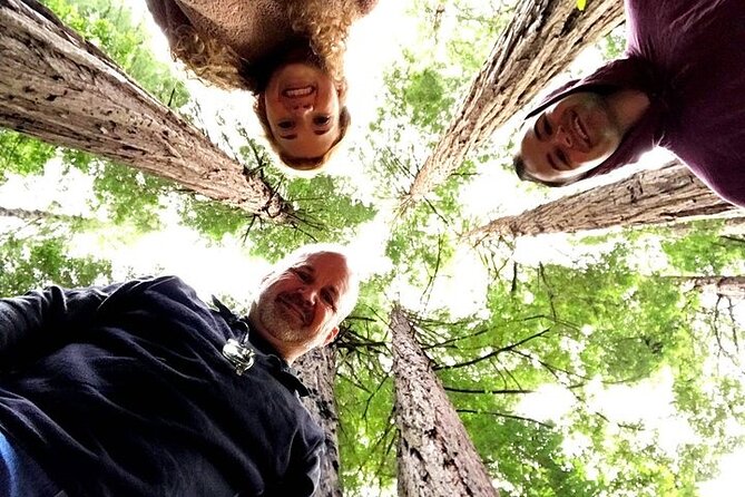 Private Muir Woods Tour + Golden Gate Bridge Stops (3 Hrs, Max 6) - Passing back through Sausalito: Jeep ride or ferry return