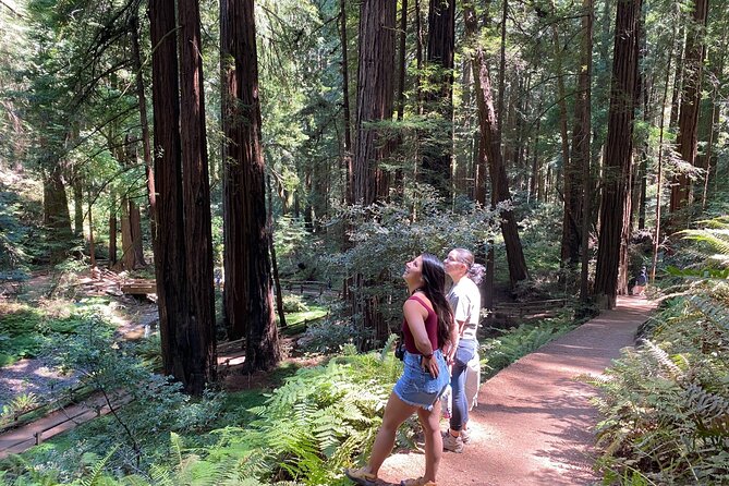 Private Muir Woods Tour + Golden Gate Bridge Stops (3 Hrs, Max 6) - How the small details make a big difference