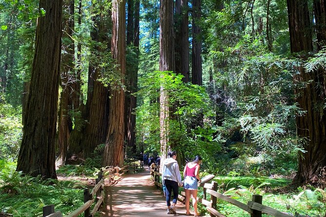 Private Muir Woods Tour + Golden Gate Bridge Stops (3 Hrs, Max 6) - Muir Woods: what 45–60 minutes really means