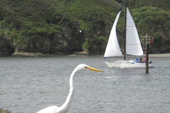 Private Sailing Tour of Bodega Bay - Private sailing from Bodega Bay harbor: what you’re really signing up for
