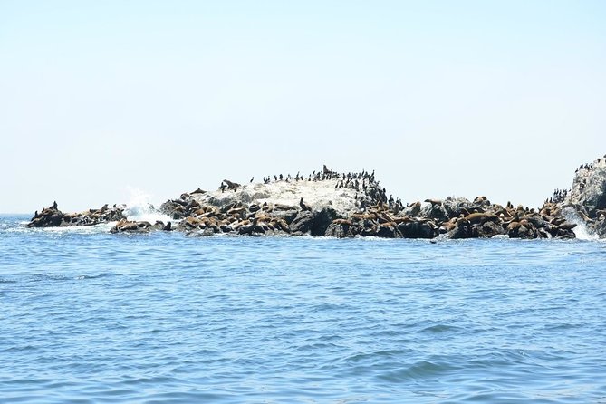 Private Sailing Tour of Bodega Bay - The sailing route: harbor, outer bay, and open ocean