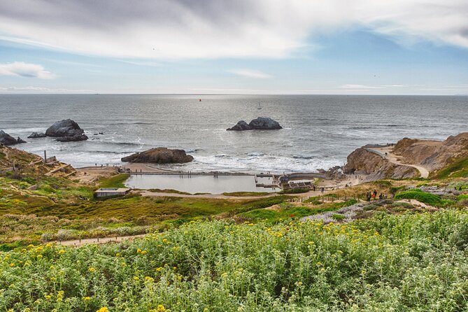 Private San Francisco City Tour and Muir Woods with Sausalito - Who this tour fits best