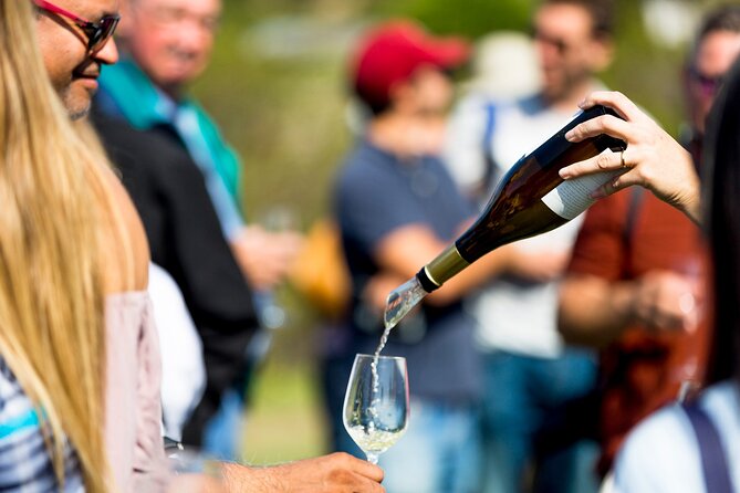 Private Tour: Napa and Sonoma Wine Country - Carneros at Madonna Estate: organic and natural-farming ideas in plain English