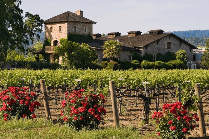 Private Tour: Napa and Sonoma Wine Country - Sutter Home and big-winery history: a story-heavy finish