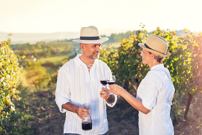 Private Tour: Napa and Sonoma Wine Country - Group size, guide style, and the payoff of not driving