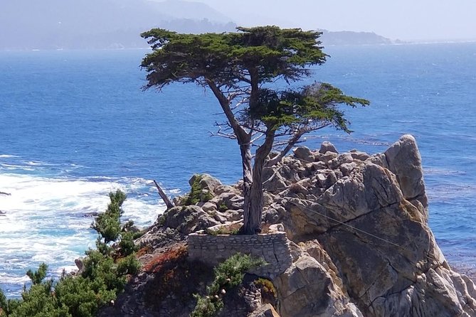 Private Tour to Monterey, Carmel, 17-Mile Drive, Pebble Beach - Key things to know before you go