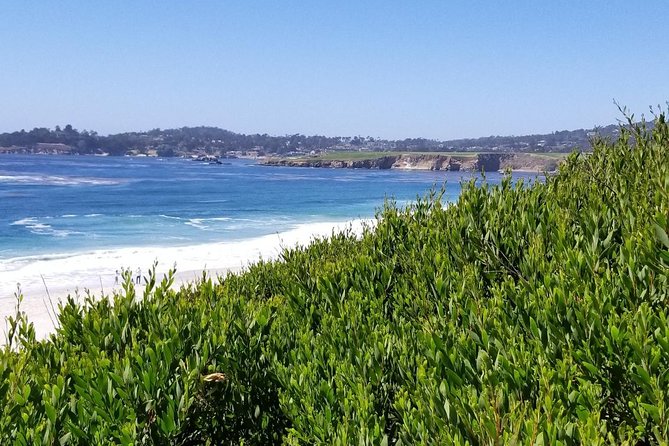 Private Tour to Monterey, Carmel, 17-Mile Drive, Pebble Beach - Monterey Bay: old California meets real visitor-friendly time