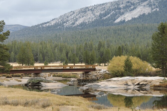 Private Yosemite National Park Day Trip from San Francisco - The flexible part: free time for waterfalls, hikes, bikes, and the museum