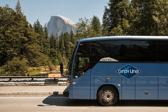 Private Yosemite National Park Day Trip from San Francisco - Practical value: what’s included, what’s not, and how to plan lunch