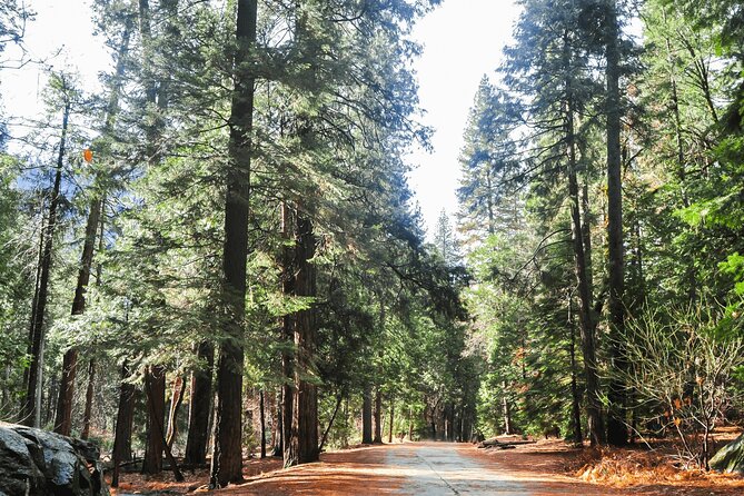 Private Yosemite National Park Day Trip from San Francisco - Timing reality check: 13.5 hours is a lot