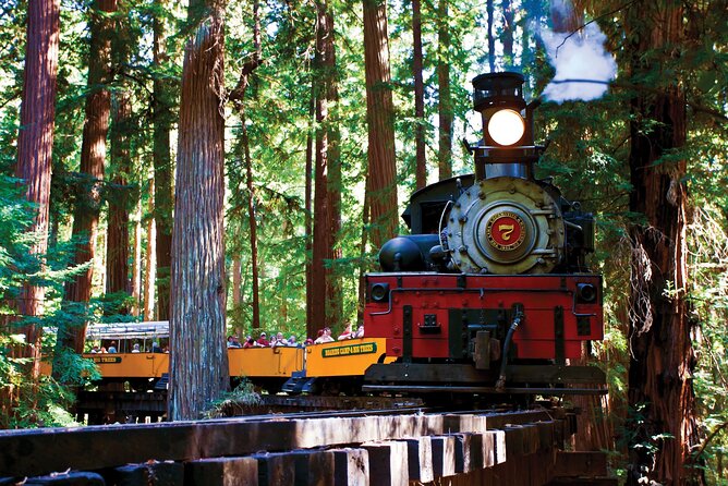 Redwood Forest, Santa Cruz Harbor 1-Day Trip from San Francisco - Key things to know before you go