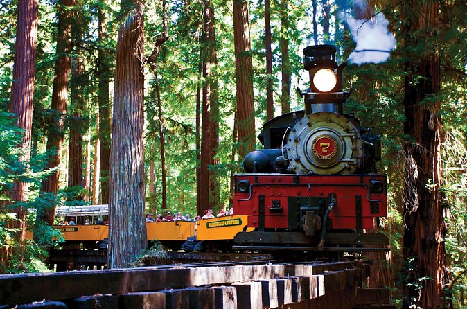 Redwood Forest, Santa Cruz Harbor 1-Day Trip from San Francisco - Price and value: is $223 per person worth it?