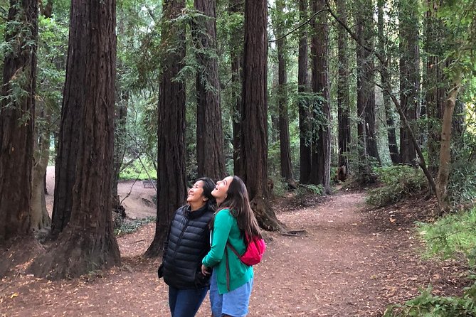 Redwoods of Marin and Mt. Tamalpais Walking Tour with Local Guide - How long and how far: a “walk” that still gets you moving