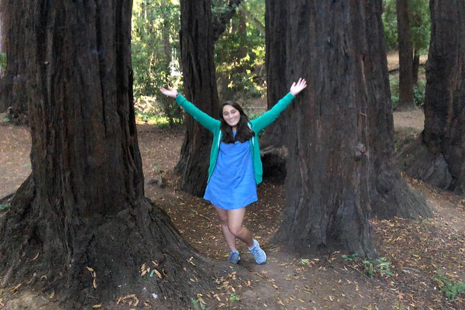 Redwoods of Marin and Mt. Tamalpais Walking Tour with Local Guide - Old Mill Park: stepping into redwood shade and canyon trails