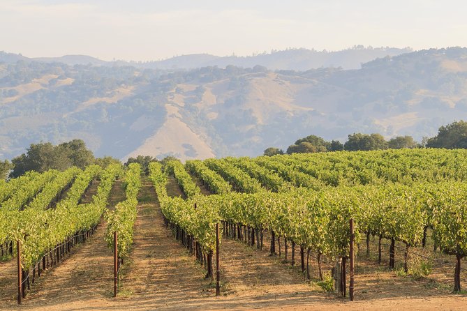 Russian River Weekend Wine Tasting & Gourmet Lunch - Timing and pacing: the good kind of fast