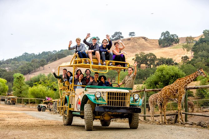 Safari West Sonoma Adventure Tour - The open-air Jeep ride: small group, big visibility, real dirt-road vibes