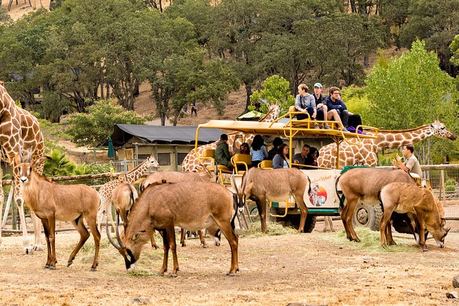 Safari West Sonoma Adventure Tour - What you’re likely to see: 700+ animals across 80 species
