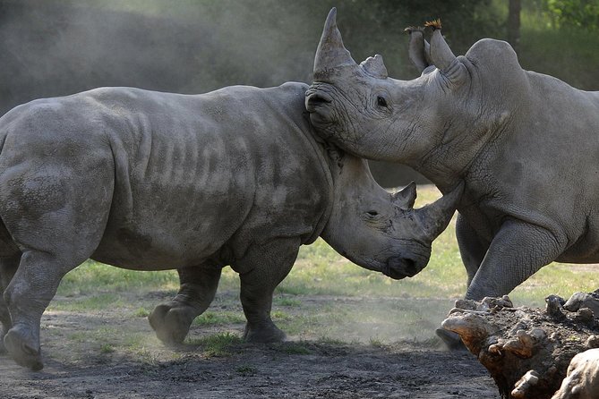 Safari West Sonoma Adventure Tour - Value check: is $110 per person a good deal for Sonoma?