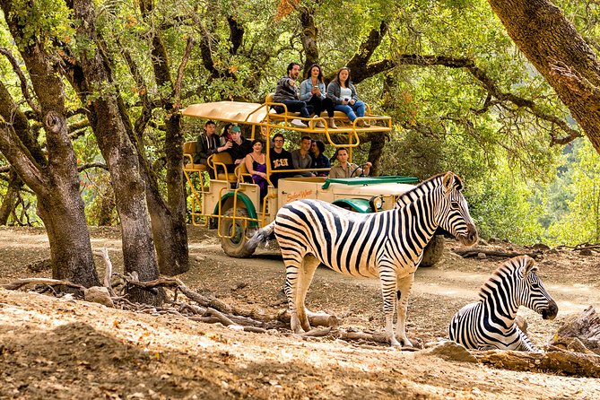 Safari West Sonoma Adventure Tour - Getting your timing right: 5 tour times and a 27-day booking rhythm