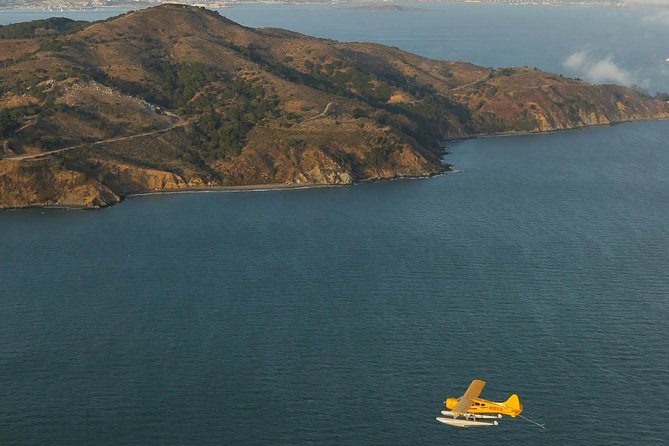 San Francisco 1-Hour Seaplane Tour - Muir Woods, Muir Beach, and the Marin High-Elevation Look