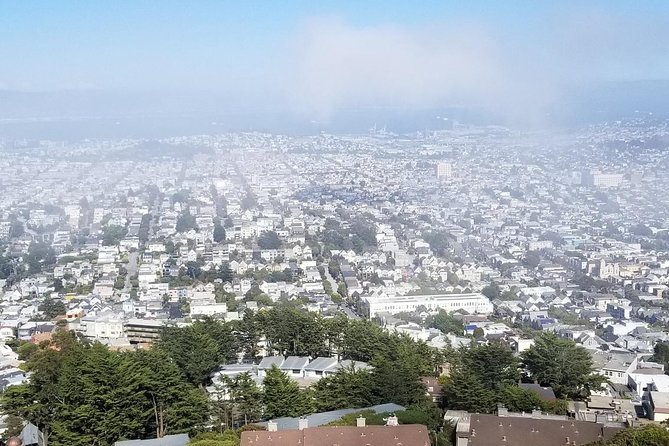 San Francisco Afternoon City Tour Small-Group Half-Day - Telegraph Hill and Coit Tower: views that make the whole city click