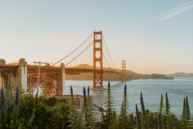 San Francisco Airport Transfer to SFO City (Special Offer) - How the pickup works: voucher, ID, and the driver handoff