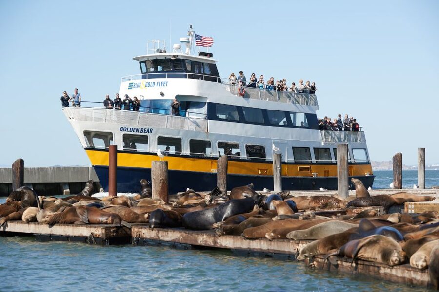 San Francisco: Alcatraz with San Francisco Bay Cruise - Key Points Before You Go