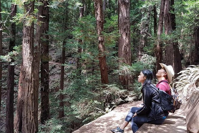 San Francisco: Armstrong Redwoods and Wine Tour with Tastings - Where the day starts: Fisherman’s Wharf to a Golden Gate Drive
