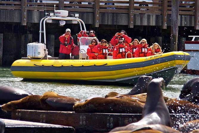 San Francisco Bay Adventure Sightseeing Cruise - Should you book the San Francisco Bay Adventure Sightseeing Cruise?