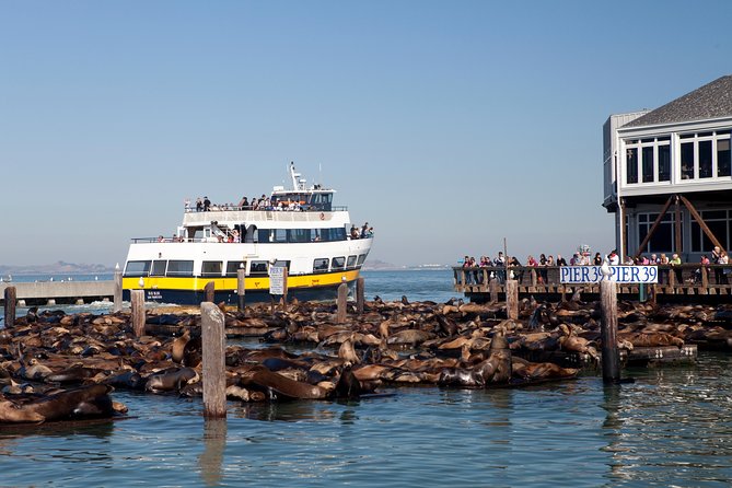 San Francisco Bay Cruise - A 1-Hour Bay Cruise That Hits Pier 39, Alcatraz, and the Golden Gate