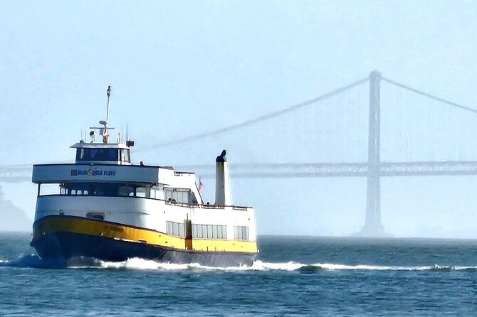 San Francisco Bay Cruise and City Combo Tour - Union Square to Chinatown: Department-Store SF and a Dragon-Gate Stop