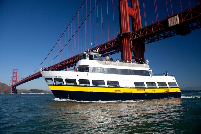 San Francisco Bay Cruise & Double Decker Night Tour - The double-decker night tour: watching SF after dark