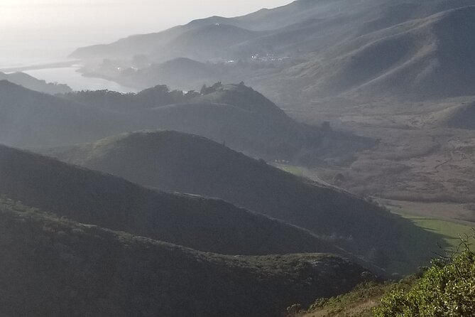 San Francisco Bay Cruise, Muir Woods and Sausalito Combo Tour - Group Size and Comfort on Curvy Marin Roads