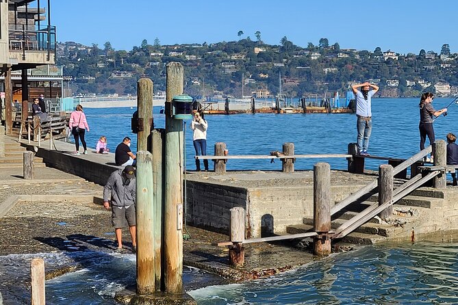 San Francisco Bay Cruise, Muir Woods and Sausalito Combo Tour - Morning Drive: Pickup, Presidio Stops, and Golden Gate Photos