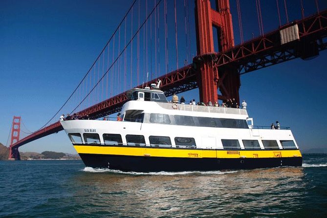San Francisco Bay Cruise - Pier 39 Stop: Sea Lions, Photos, and Seat Strategy