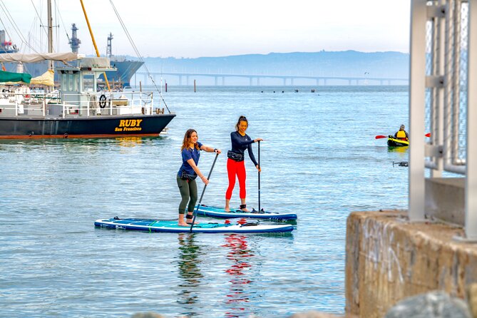 San Francisco Bay Kayak Or Paddle Board Tour - San Francisco Bay Views: Pelicans, Cormorants, and That Waterfront Angle