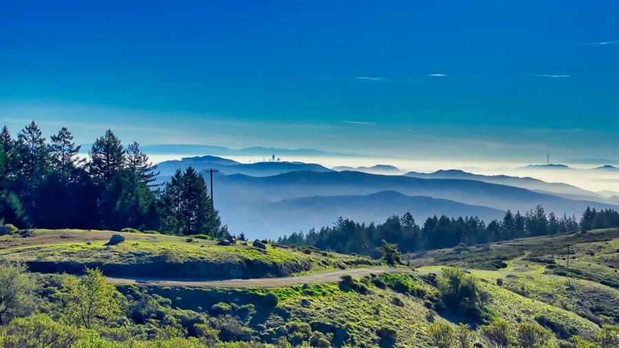 San Francisco: Bike Tour with Muir Woods and Sausalito Visit - $209 Per Person: When This Combo Feels Like Good Value
