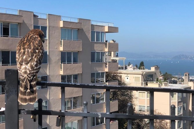 San Francisco Chinatown, Russian Hill, And North Beach Tour - Key Highlights at a Glance